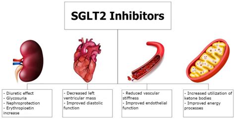 SGLT-2 inhibitors in patients with heart failure: a comprehensive …