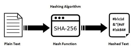 SHA-256 Hash Generator - Free Online Tool | Vayce - coolestguyplanet.net
