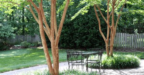 Shade & Light - Custom Window Fashions - Port … - muktibox.com