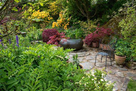Shade Garden - Best Plants, Design Recipes, Care Essentials - raincitystudios.com