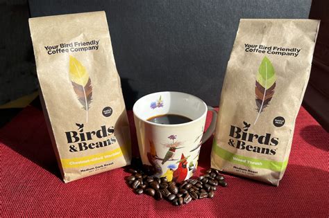 Shade Grown Coffee and Neotropical Birds | Trust For Wildlife - raincitystudios.com