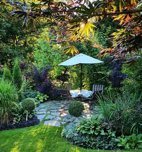Shade Trees for Small UK Gardens Native Planting Guide - raincitystudios.com