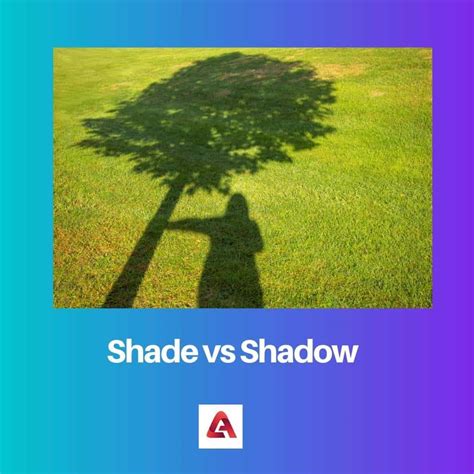 Shade Vs Light - design - muktibox.com