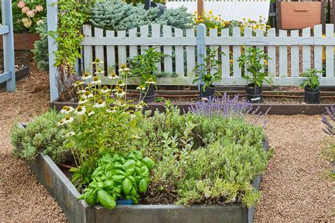 Shakespearean Herb Garden - Gardening Know How - raincitystudios.com