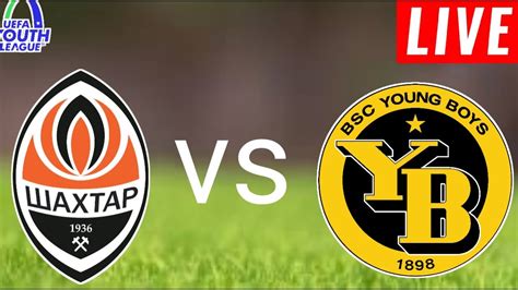 Shakhtar Donetsk U19 - Vereinsprofil | Transfermarkt - balustradellc