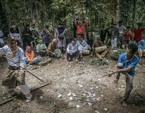 Shamans' Ritual To Protect Bangka Island's Remaining Forest (bahasa ... - balustradellc