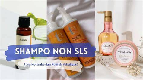 Shampo Apa Saja Yang Tidak Mengandung Sls - raincitystudios.com