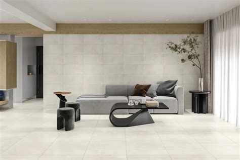 Shandar 12" x 24" Matte Porcelain Field Tile in Plain White - muktibox.com