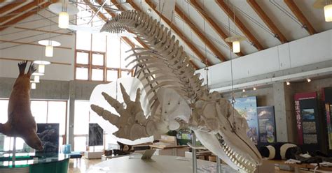 Sharing best practices in World Heritage management - wintechmobiles.com