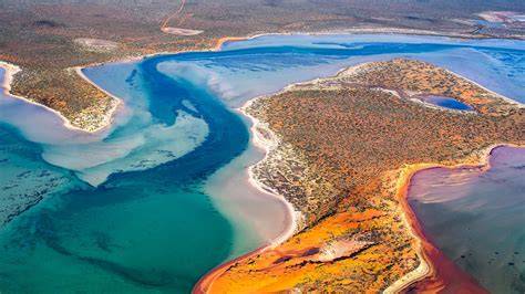 Shark Bay, Western Australia - UNESCO World … - raincitystudios.com