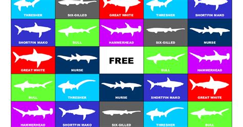 SHARK bingo.pdf - Google Drive