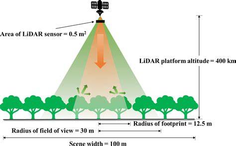 Sharper forest insights from spaceborne LiDAR | EurekAlert! - raincitystudios.com