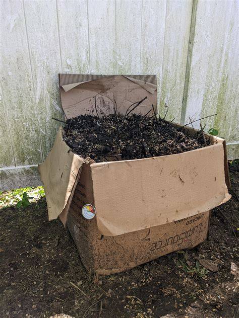 Sheet mulching and lasagna composting with cardboard - raincitystudios.com