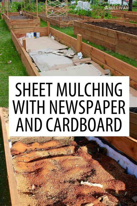 Sheet Mulching With Newspaper and Cardboard - raincitystudios.com