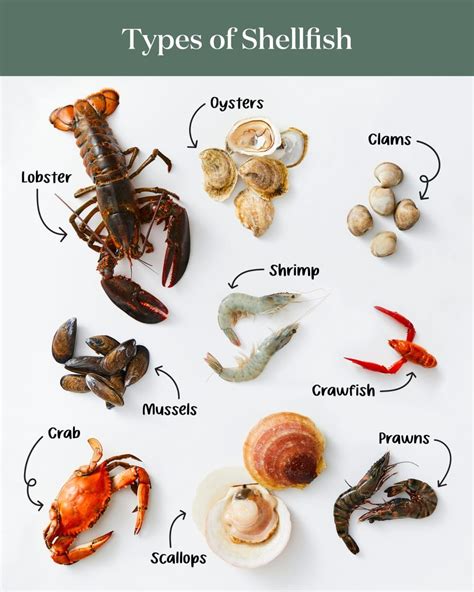 Shellfish & Fishery Product Exemptions - balustradellc