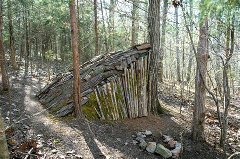 Shelter & Hedging - Native Garden Nursery - raincitystudios.com