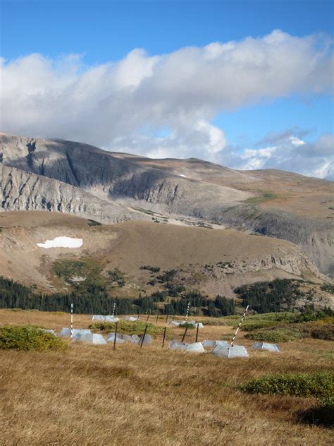 Shifting alpine plant distributions with global change: Testing the ... - muktibox.com