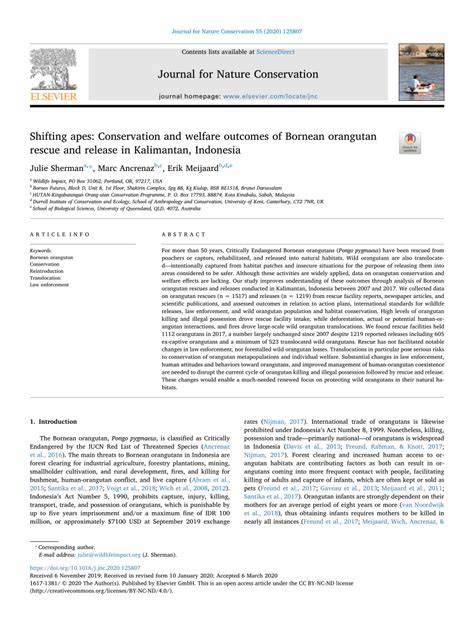 Shifting apes: Conservation and welfare outcomes of Bornean orangutan ... - raincitystudios.com