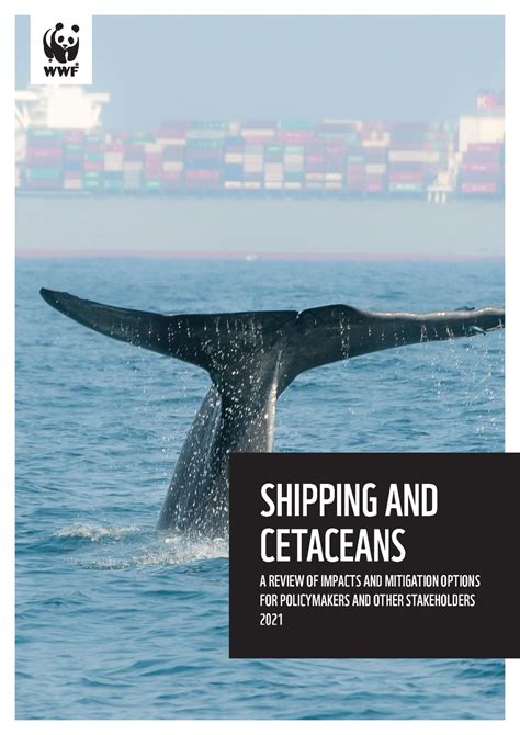 Shipping and Cetaceans - WWF Protecting Whales & Dolphins Initiative - raincitystudios.com