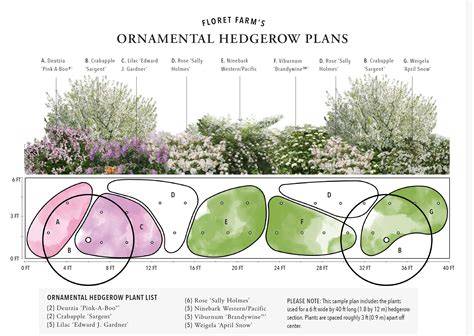 Shoot pruning of a hedgerow perennial legume alters the availability ... - raincitystudios.com