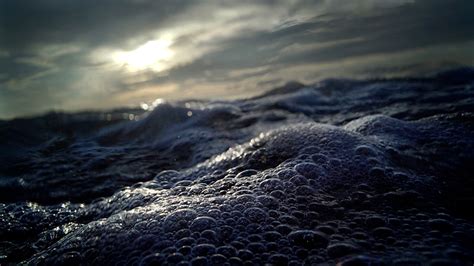 Shooting Close-ups - Photo Review - balustradellc