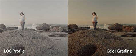 Shooting with S-Log for color grading - Sony - balustradellc