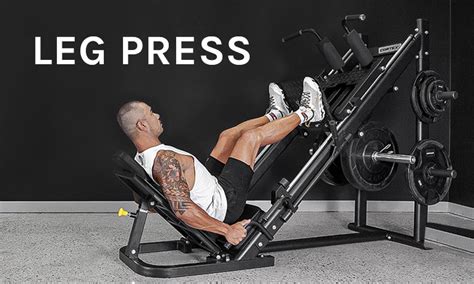 Shop Leg Press Machines Online – Lifespan Fitness - balustradellc