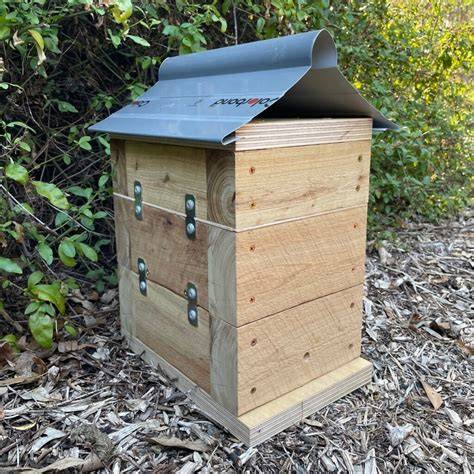 Shop Stingless Bee Hives Box with great discounts and prices online ... - raincitystudios.com