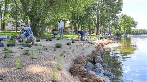 SHORELINE RESTORATION - Shape Our Water … - raincitystudios.com