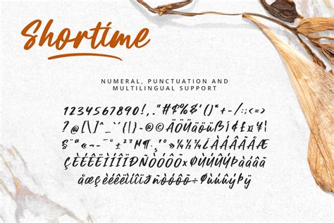 Shortime Modern Script Font - Font Kong - muktibox.com