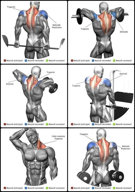 Shoulder Exercises To Build Strength & Stability - SQUATWOLF - AU - balustradellc
