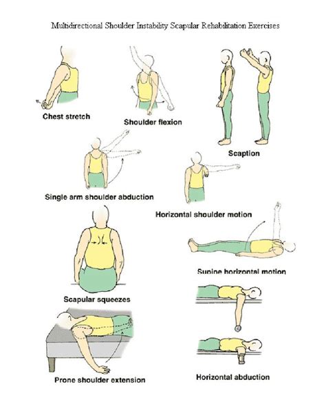 Shoulder Instability Exercises That Make a Difference … - balustradellc