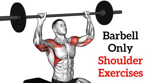 SHOULDER WORKOUT - SHOULDER VARIATION . . #gym - balustradellc