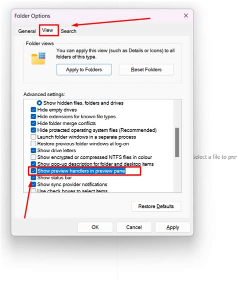 Show or Hide Preview Pane in File Explorer in Windows 11 - balustradellc