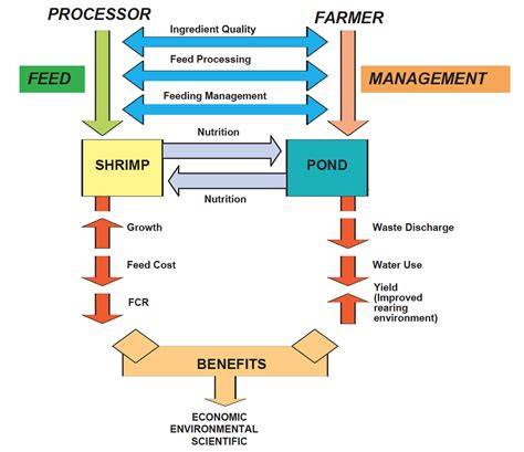 Shrimp Feed Formulation and Feed Management - CMFRI - raincitystudios.com
