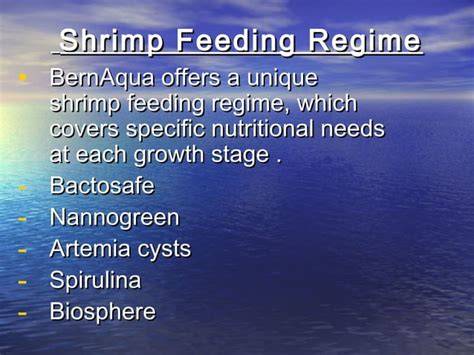 Shrimp Feeding Regime - discover our products I BernAqua - raincitystudios.com