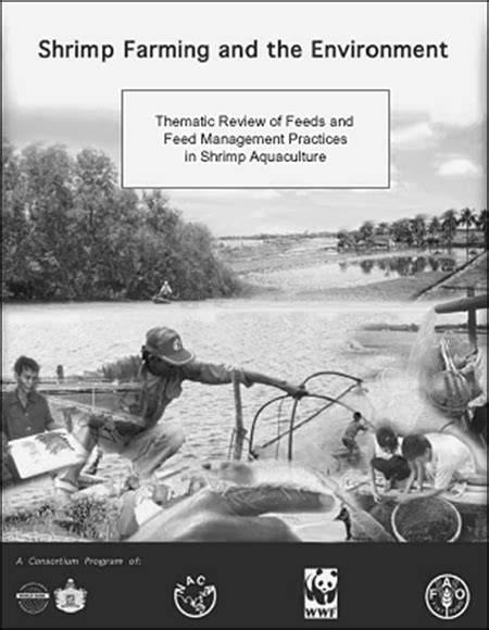 Shrimp feeds and management: Golden rules for success - raincitystudios.com