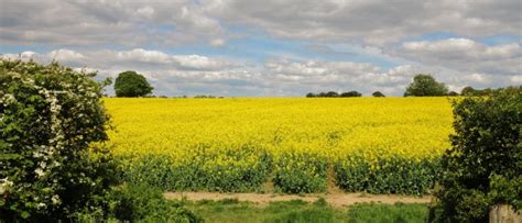 SHROPSHIRE HILLS (AONB) - Madeleys Chartered Surveyors