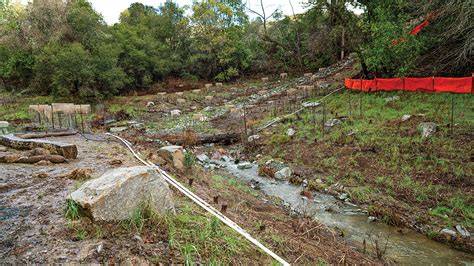 Sibley Alder and Leatherwood Creek Restoration and Public Access ... - raincitystudios.com