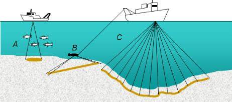 Sidescan Sonar: The Future of Seafloor Mapping - raincitystudios.com