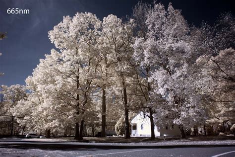 Sigma Mirrorless Full Spectrum Conversion - Infrared Conversions, IR ... - balustradellc