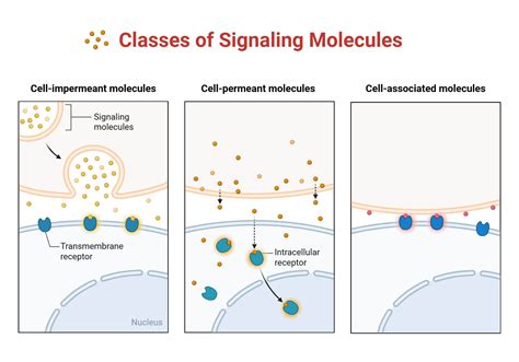 Signaling | Be Ready Utah - balustradellc