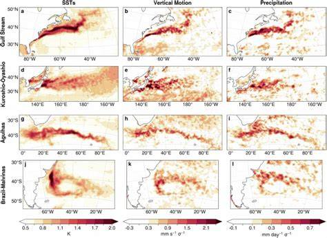 Signature of the western boundary currents in local … - raincitystudios.com
