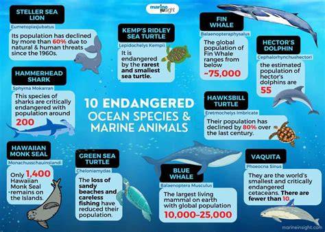 Significance of rare species in evaluating marine conservation effects ... - raincitystudios.com