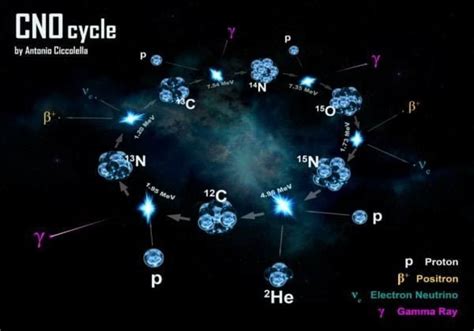 Siklus CNO - Wikipedia bahasa Indonesia, ensiklopedia bebas - wintechmobiles.com