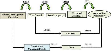 Silvicultural effects on the productivity and wood quality of eucalypt ... - raincitystudios.com
