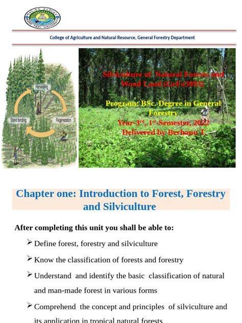 Silviculture | Forestry | Research Starters - EBSCO - raincitystudios.com