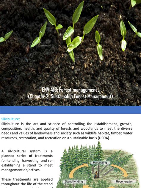 Silviculture and Forest Operations in Sustainable Forest ... - Longdom - raincitystudios.com