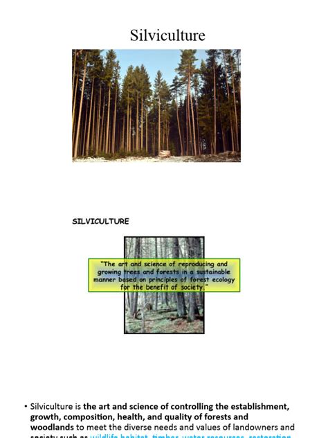 SILVICULTURE AND UTILIZATION OF A LESSER … - raincitystudios.com