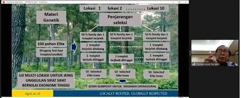 Silvikultur Intensif untuk rehabilitasi lahan terdegradasi - raincitystudios.com